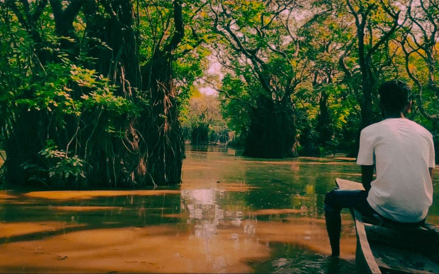 Ratargul Swamp Forest